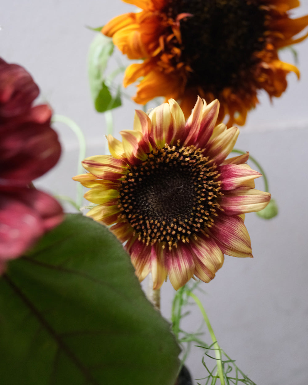 Flower Bouquet by SAI botanical works