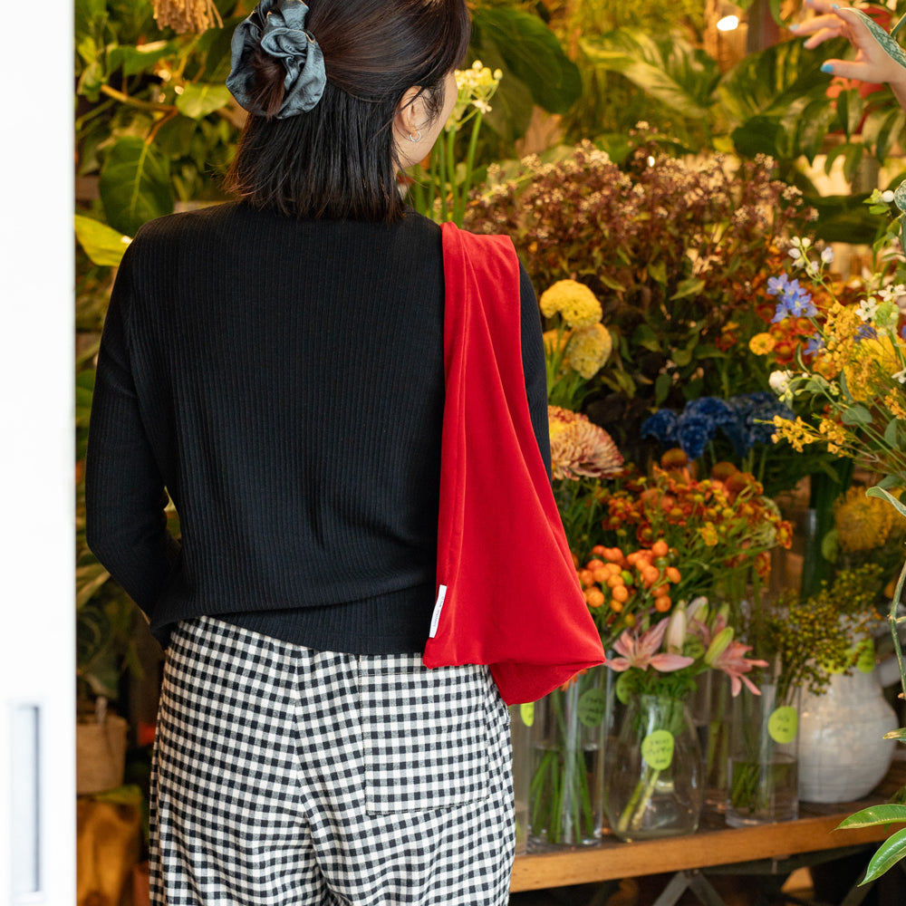 SIMONE WILD  VELVET POUCH