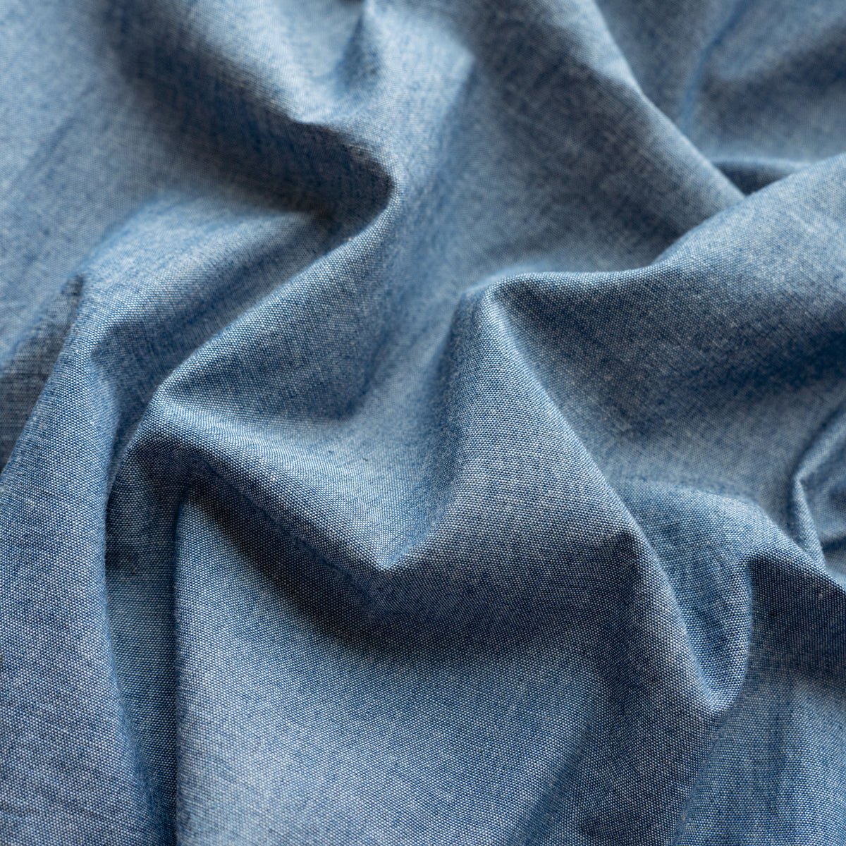 HAVERSACK  Double Frill collar shirts