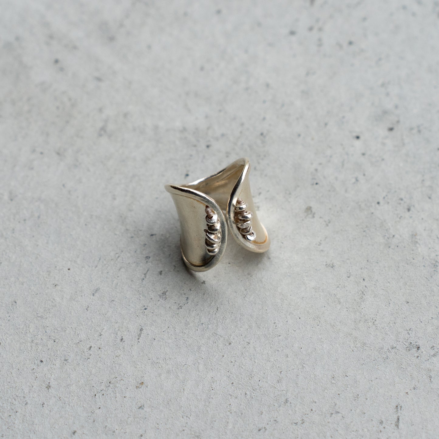 WONDER FULL LIFE  TALISMAN / karen silver | RING