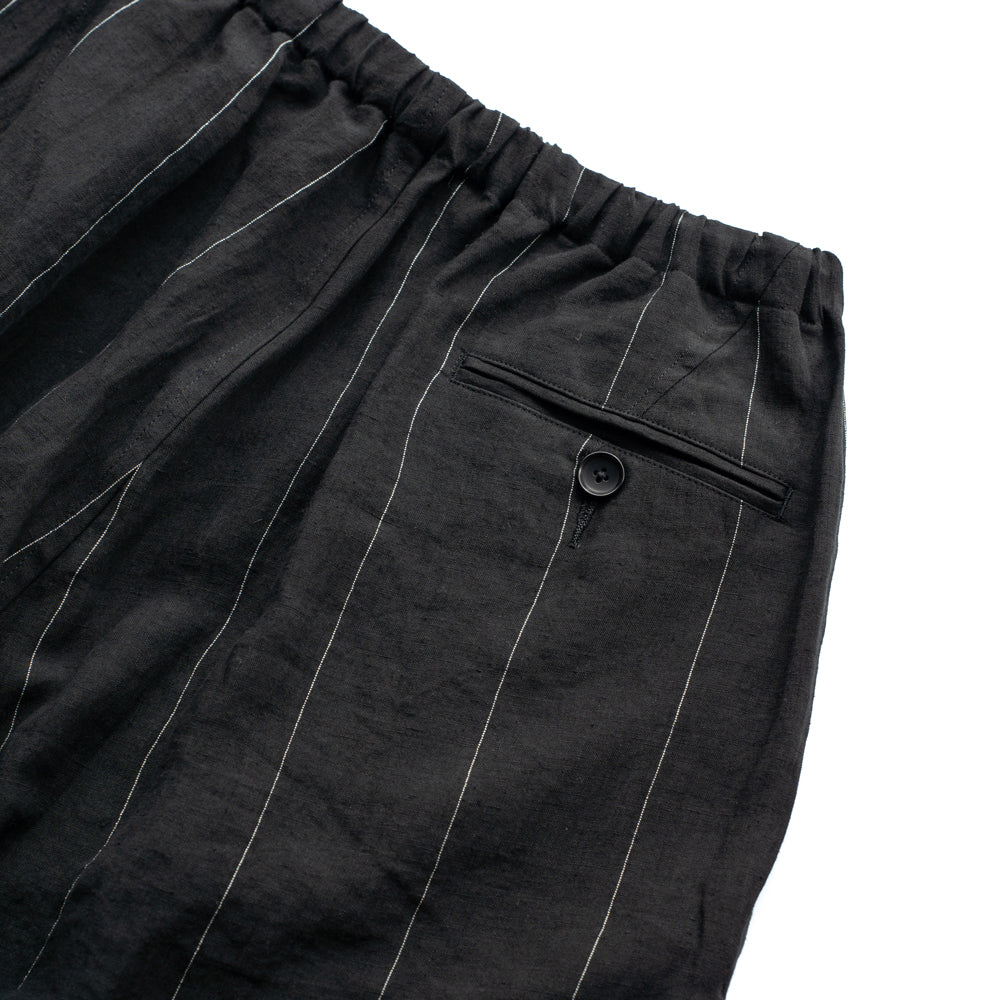 HAVERSACK  2 Pleated wide pant  -Linen