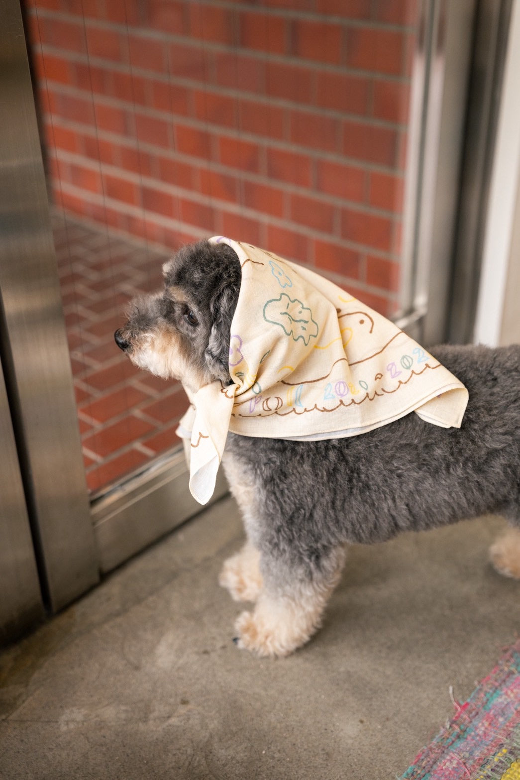 roll Handkerchief